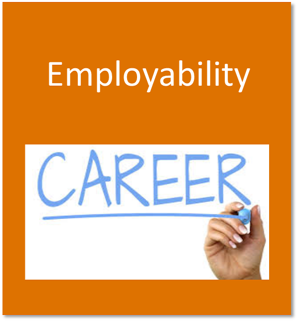 Employability button containing the word career written on a whiteboard